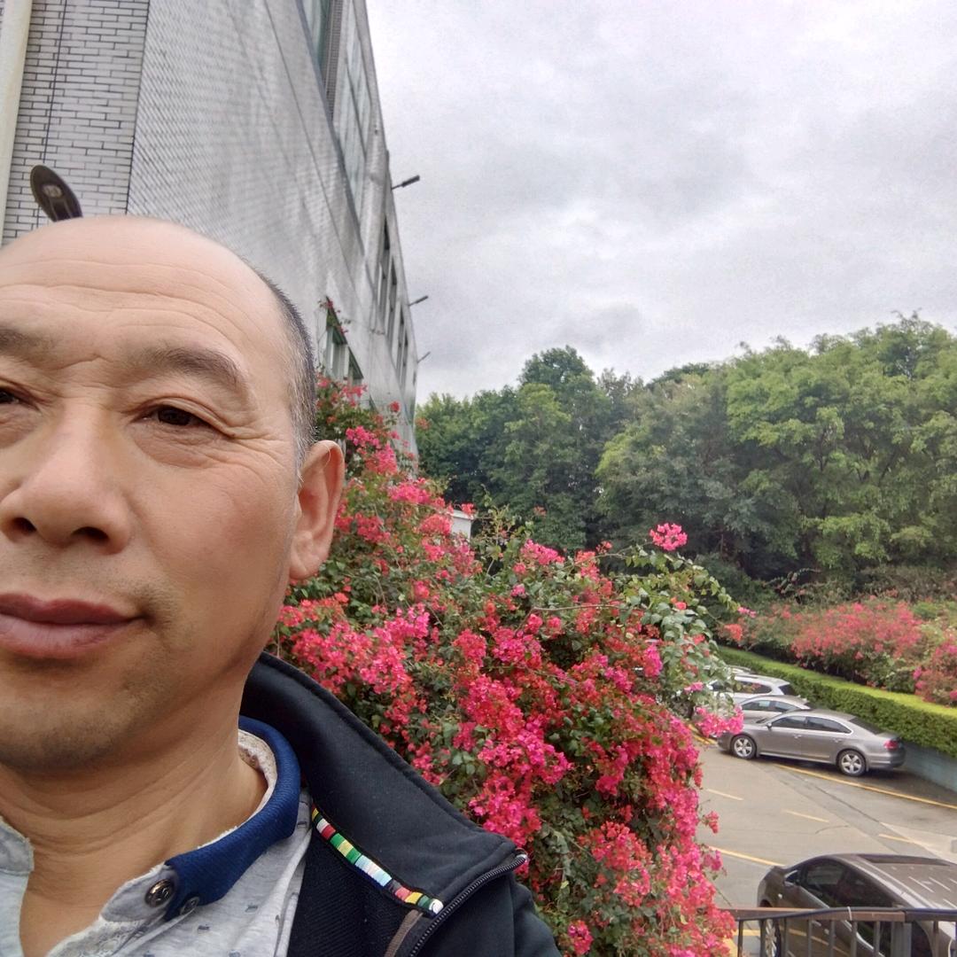陈凤民