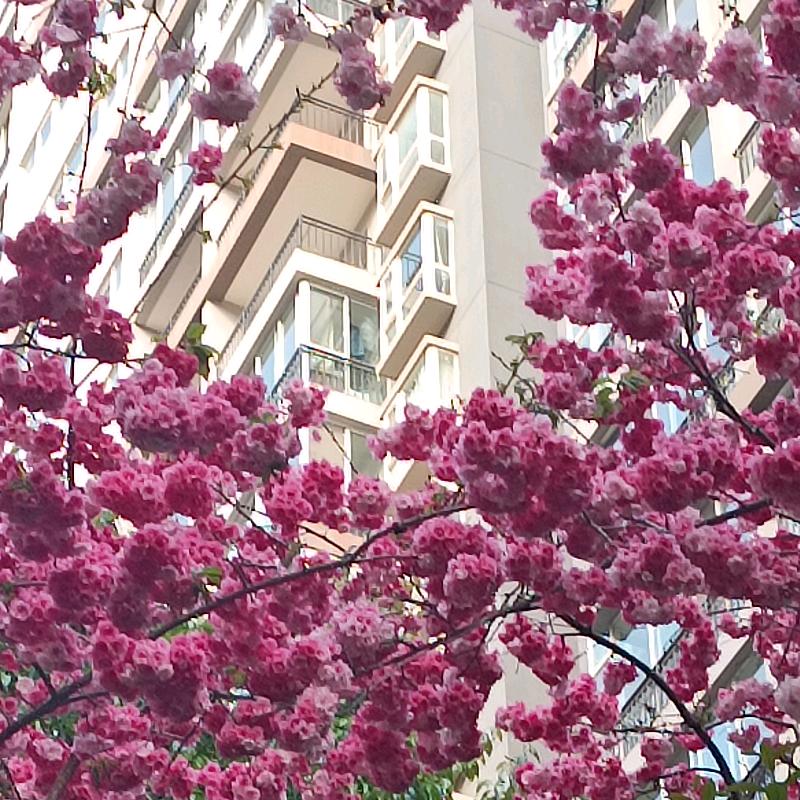 万