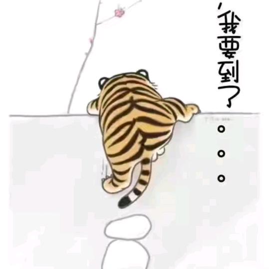 阳光雨露