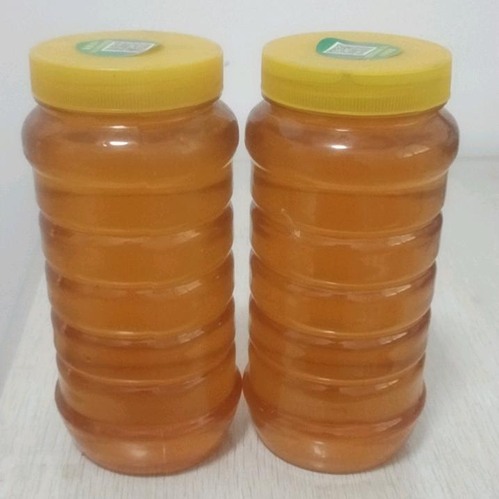 小风蝉蜕药材