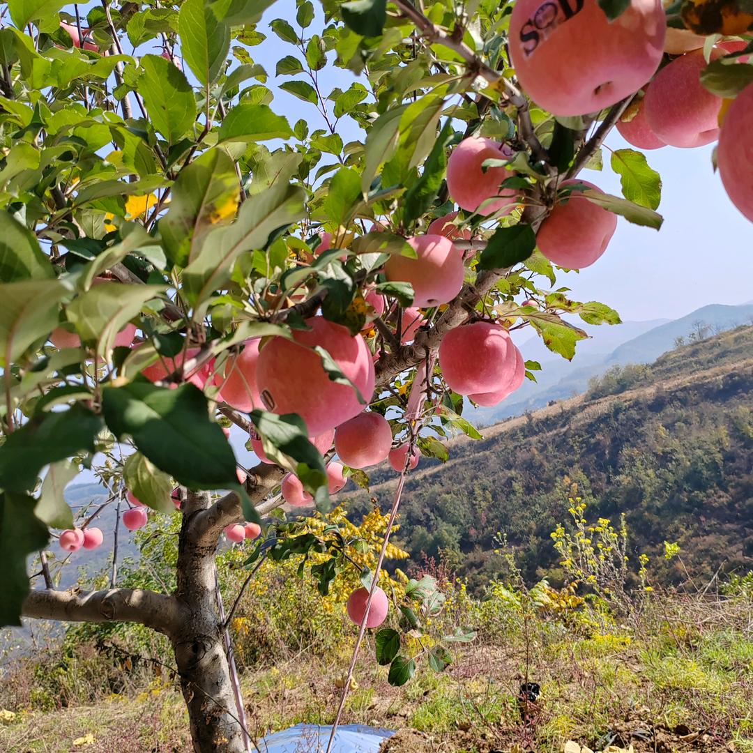 🌴笑对人生⛅️💫