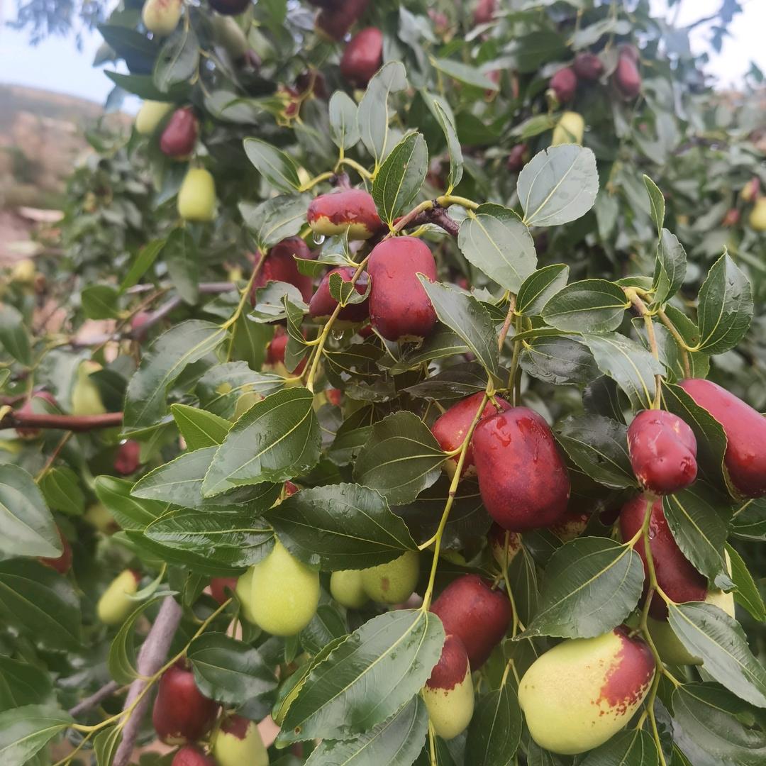 阳光之下开心快乐