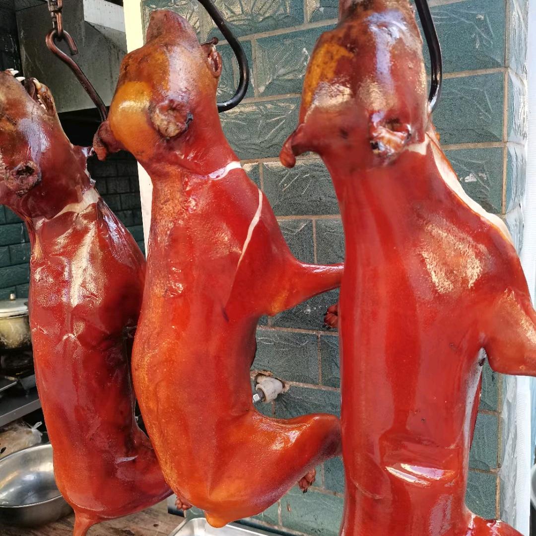 杨，莫记狗肉馆