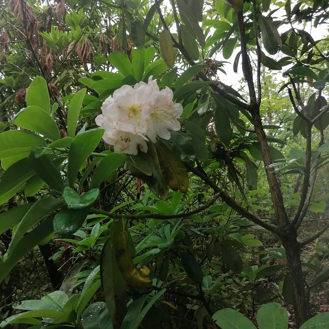 平平安安。。。