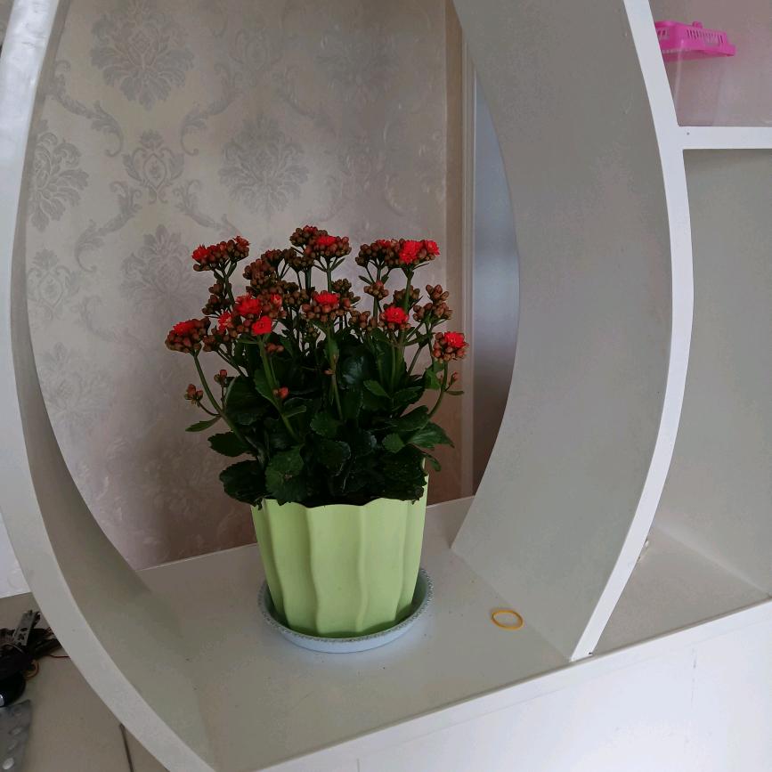 拼搏