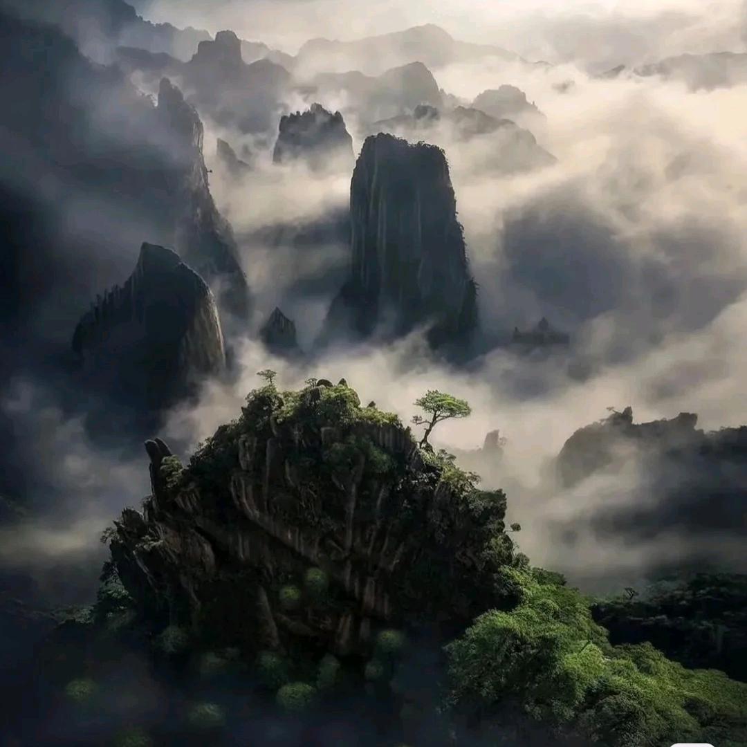 遇见N