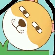小金