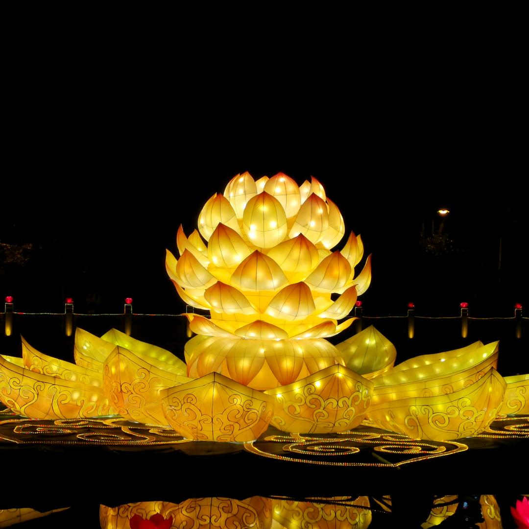 轻奢百货