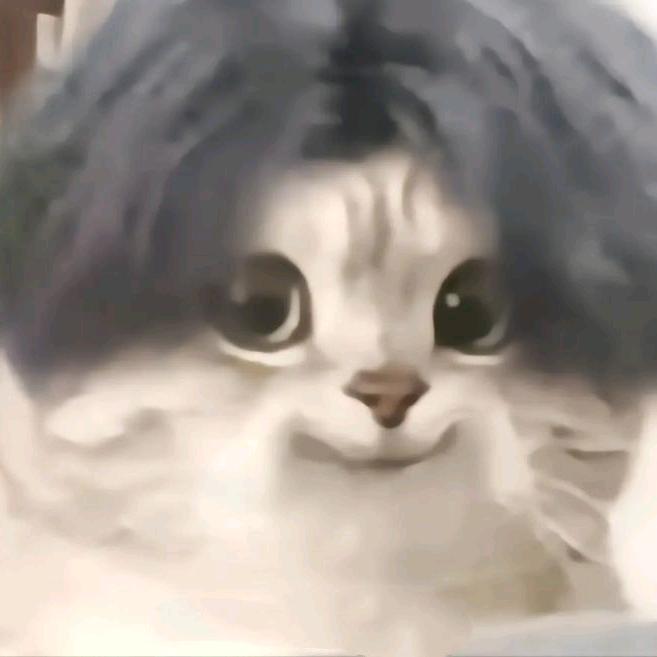 淡淡的心情