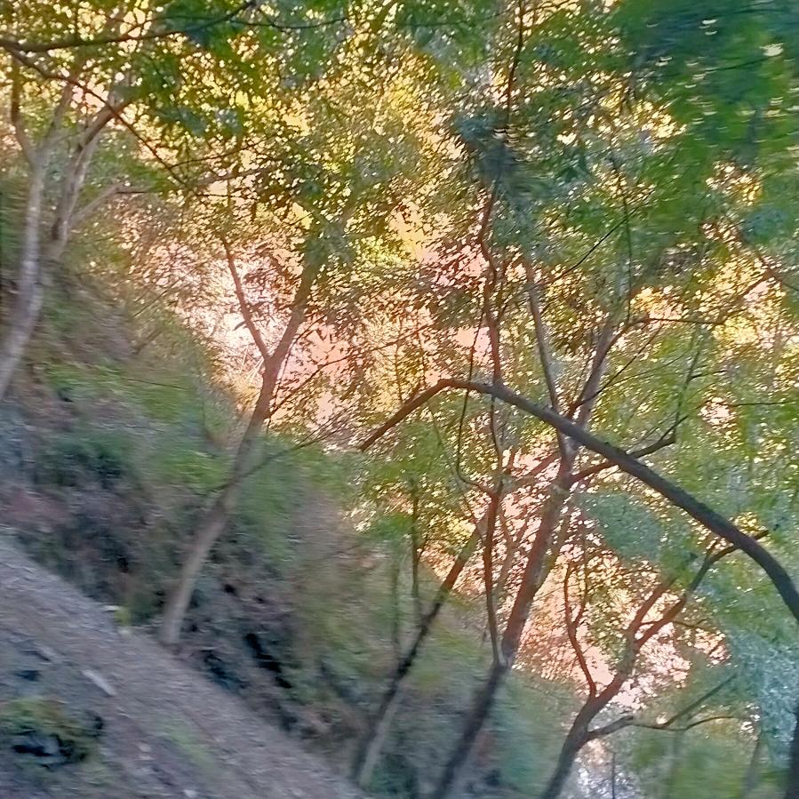 千岛湖