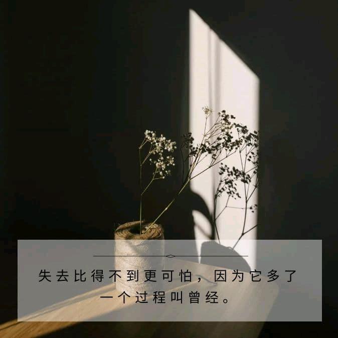 山川又菜又爱玩