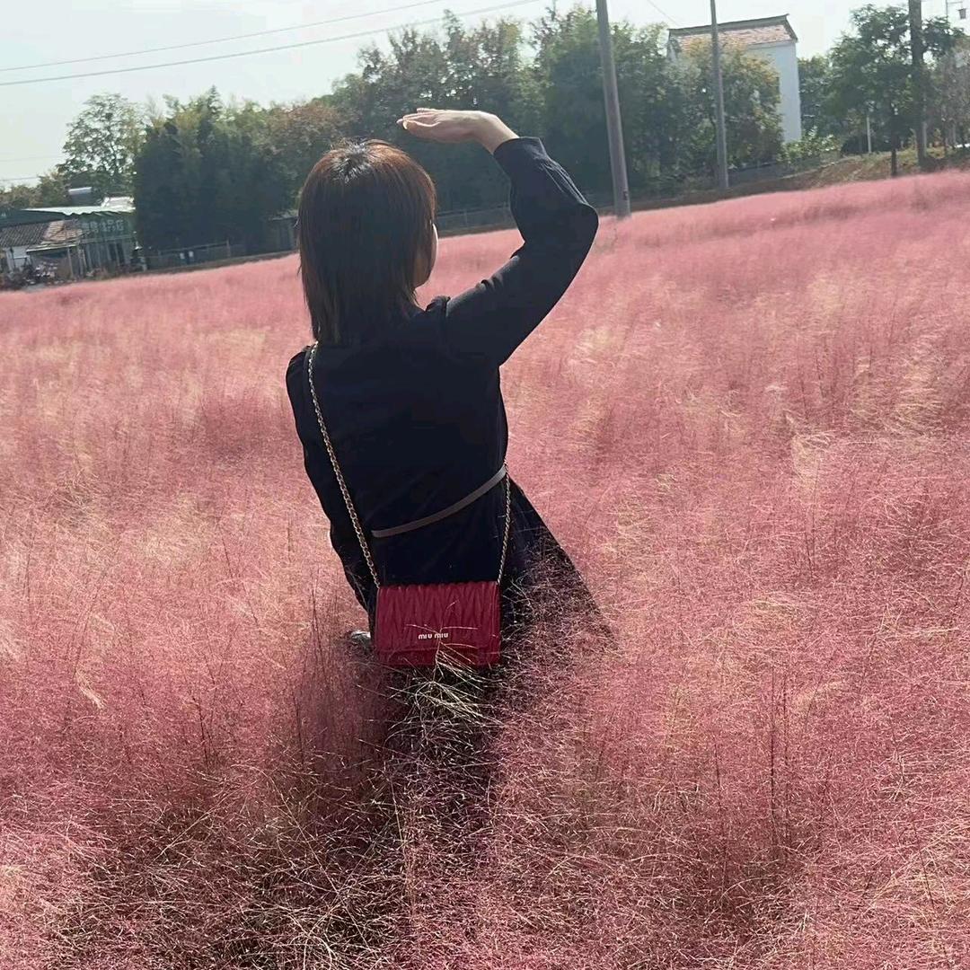 矫情╭(╯ε╰)╮不