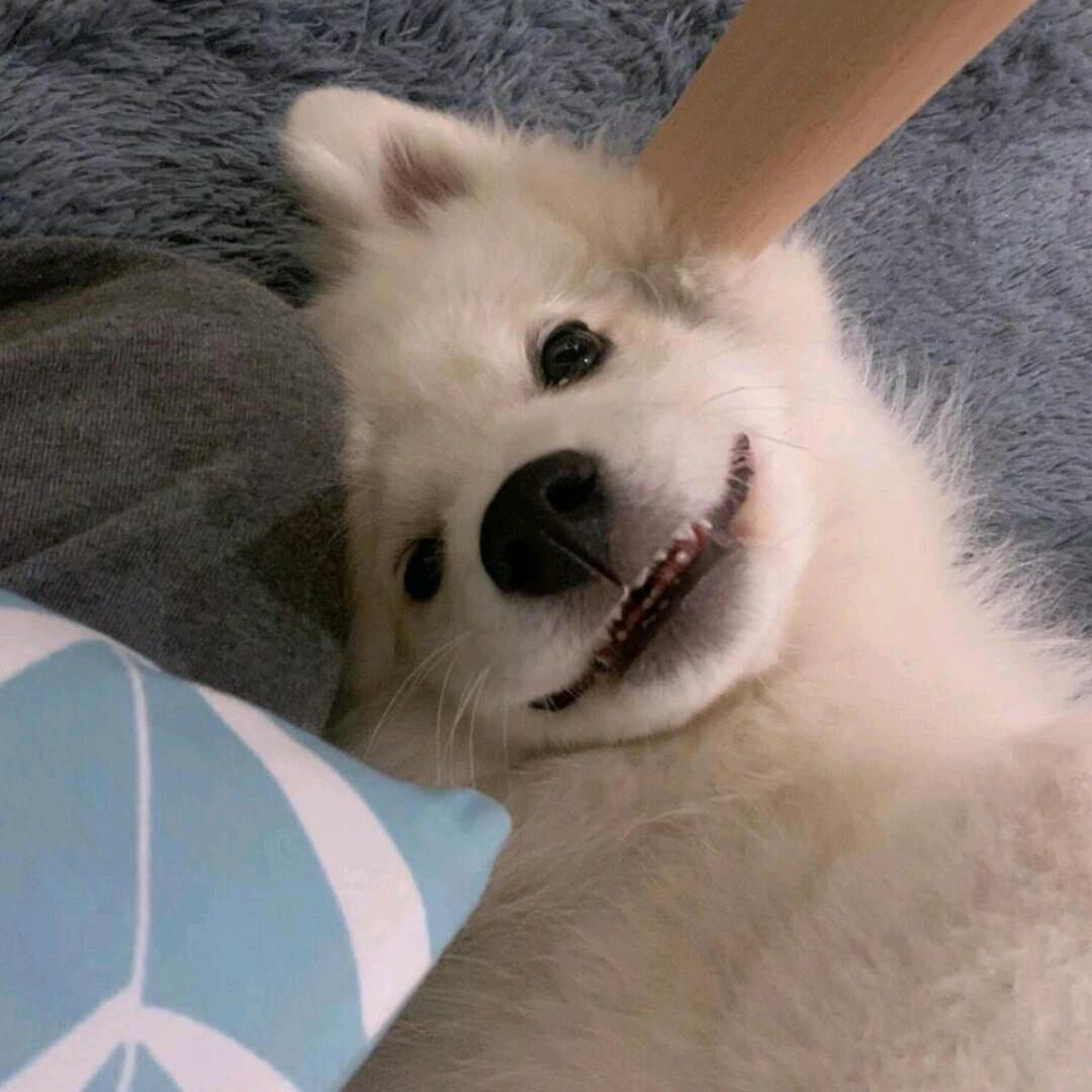 蜡笔小心眼