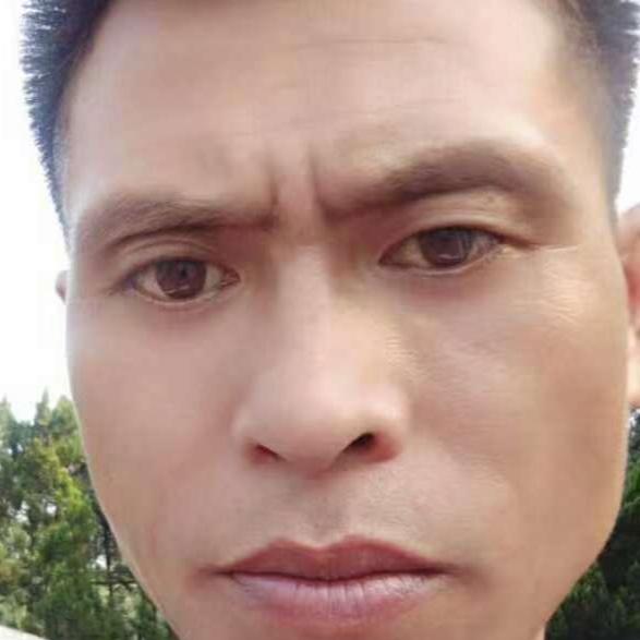 我姓田，却填不了你的心