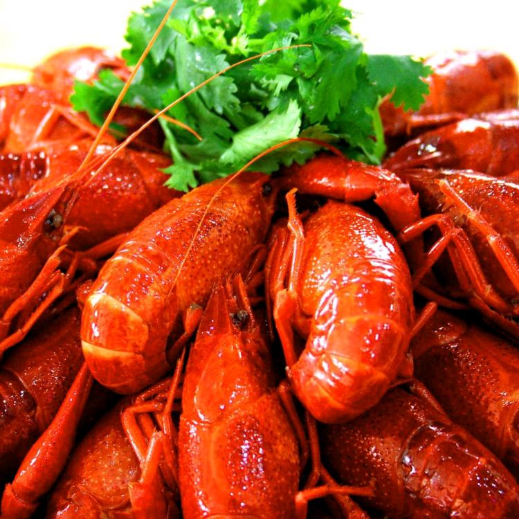 靓靓卤虾