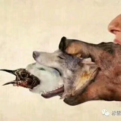 我的雄心
