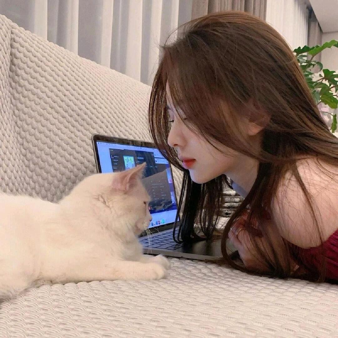 花花是只猫🐱