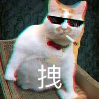 潇洒公子🔥