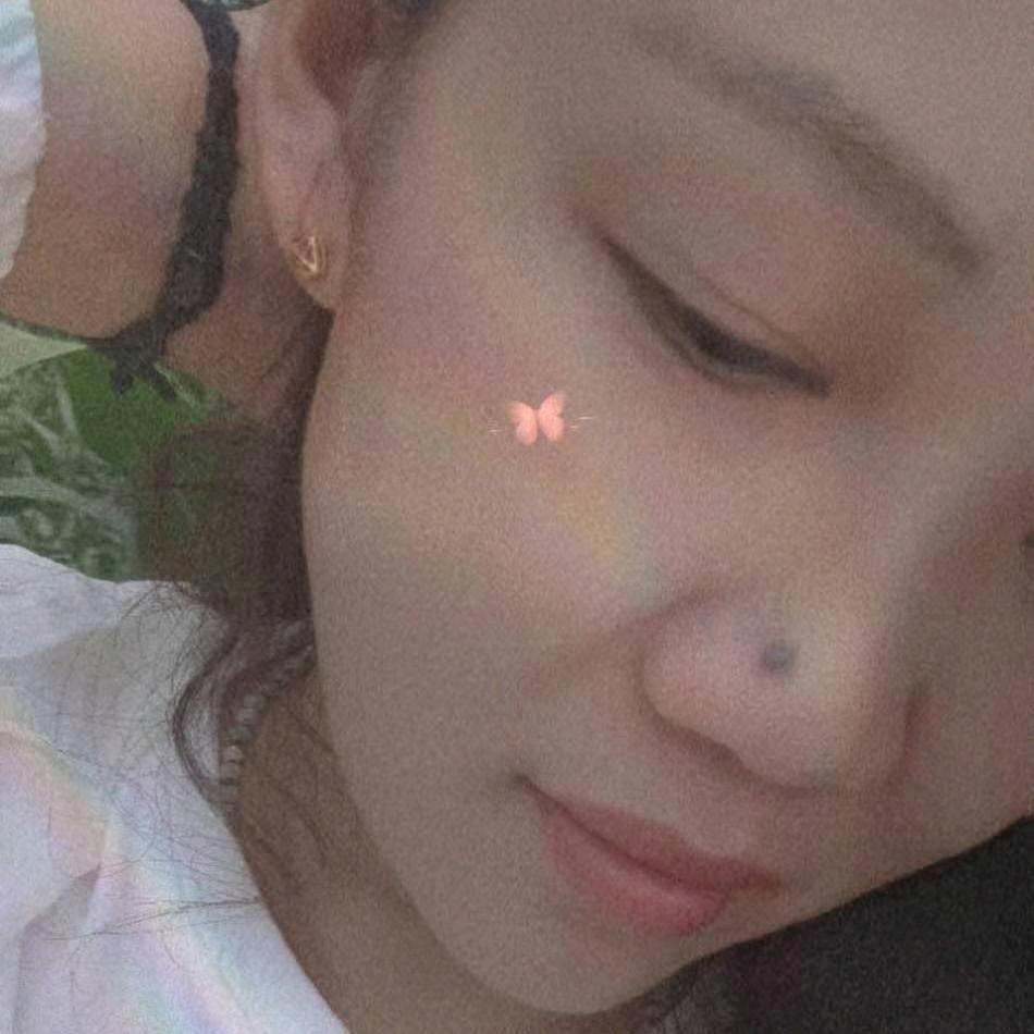 松鹤舞凤