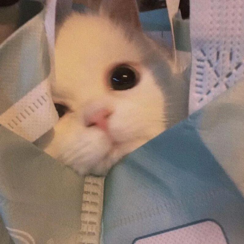 小舒pp
