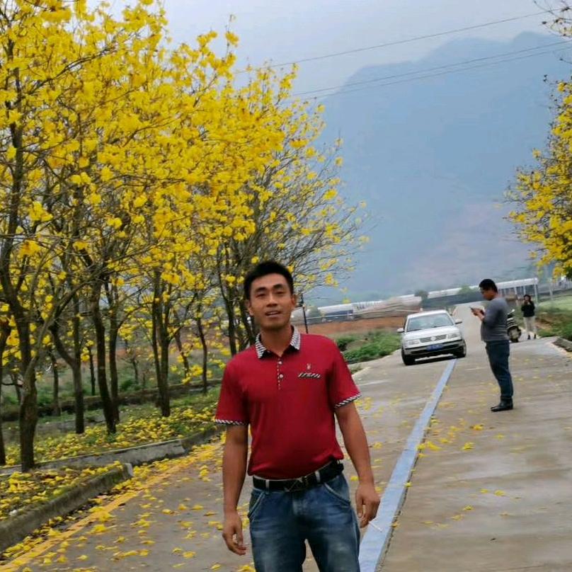 承建花卉养殖蔬菜大棚铁皮棚