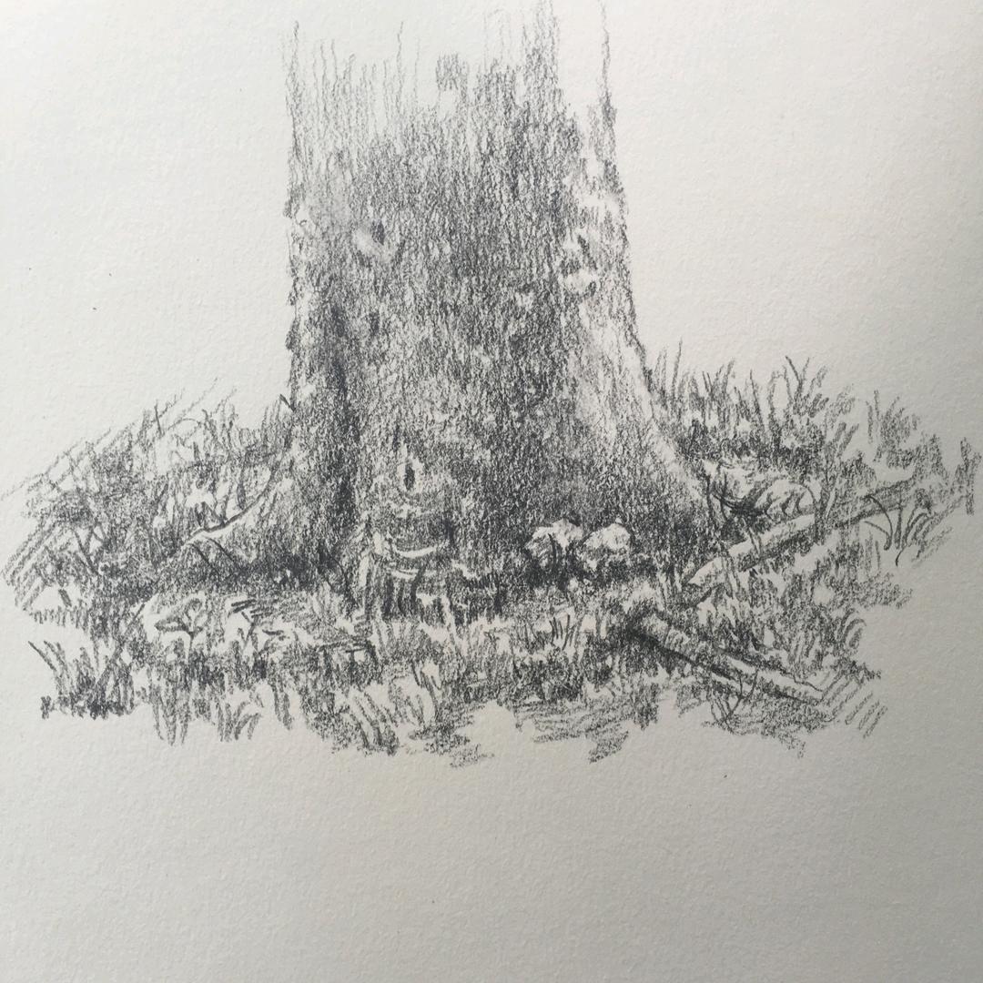 无形画室谢老师