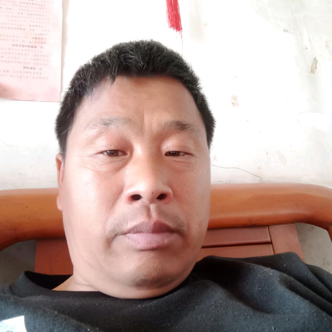 狼行天下