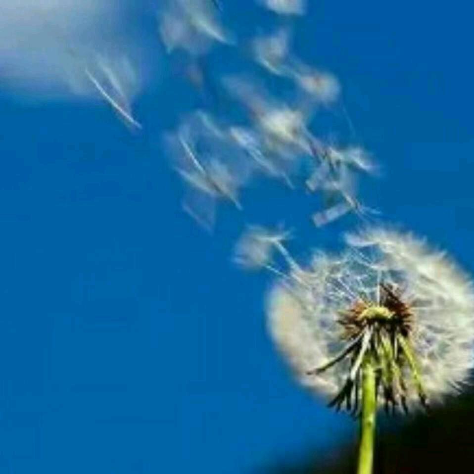 月圆是画，月缺是诗。