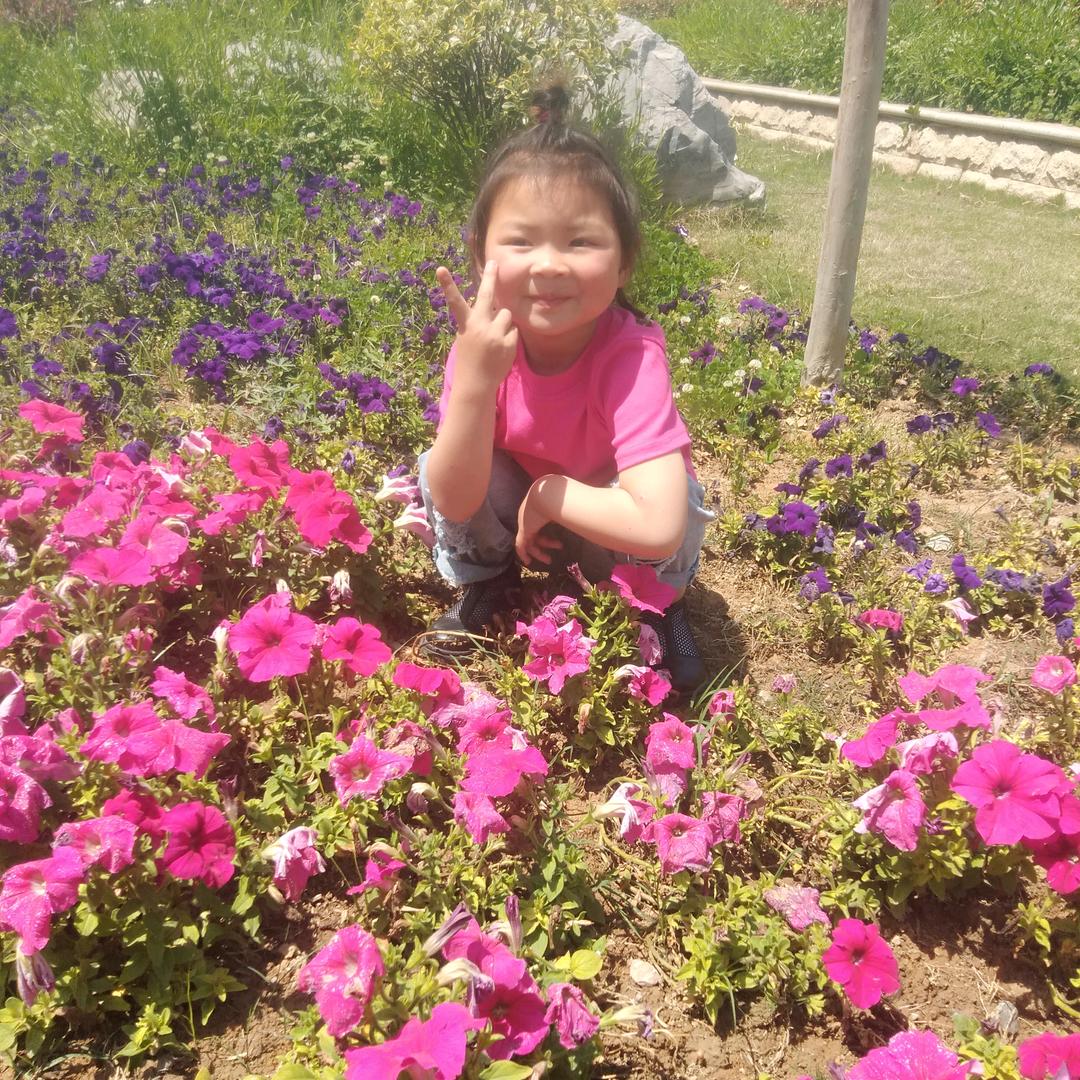 大田楼九九流动包席11525209585