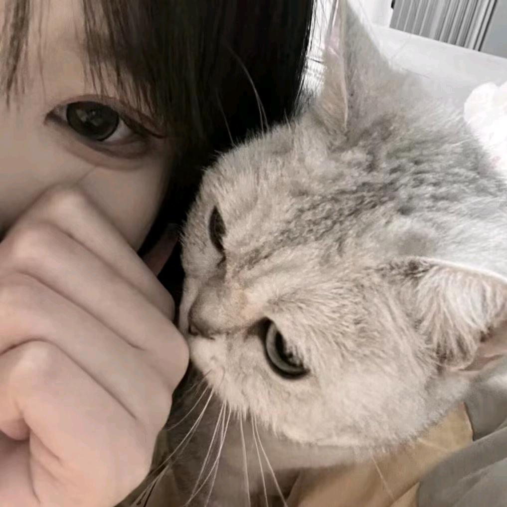小羊睡不醒.