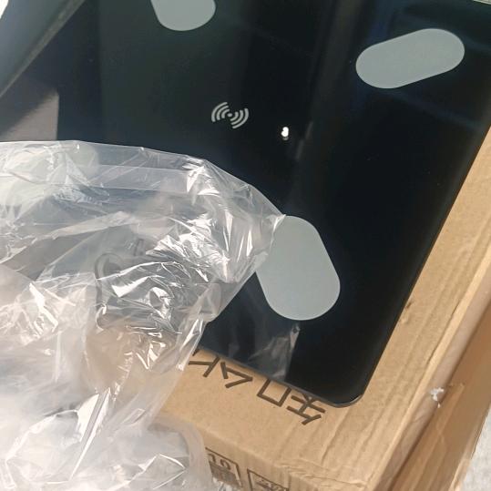 菩提树