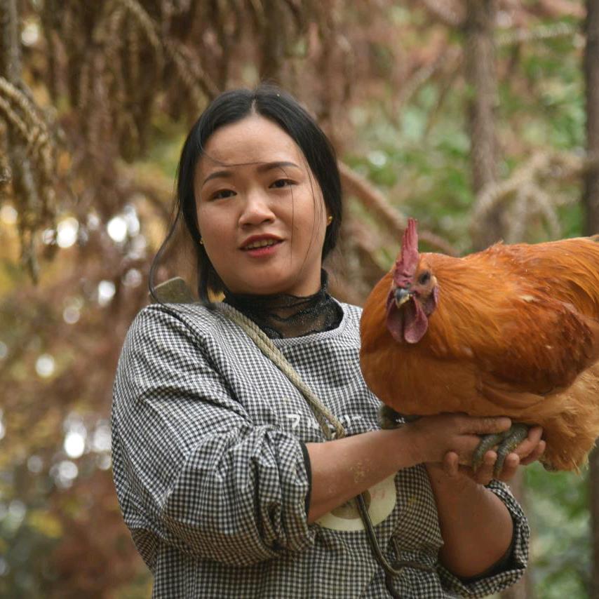 白龙塔童大妹