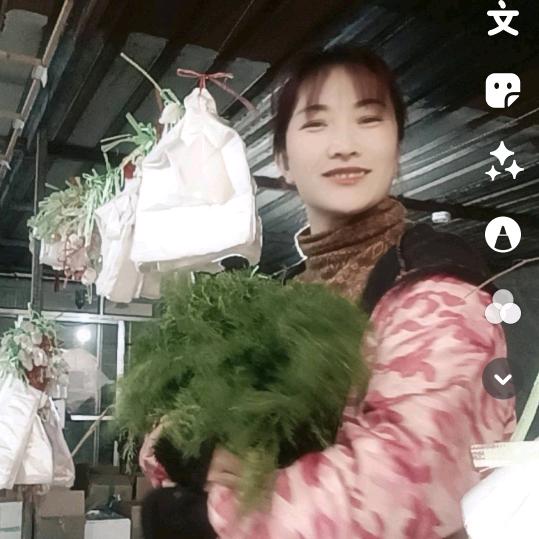 钢城凤姐