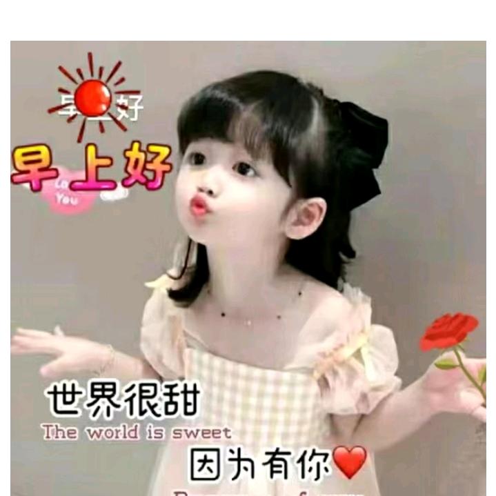 如莲绽放