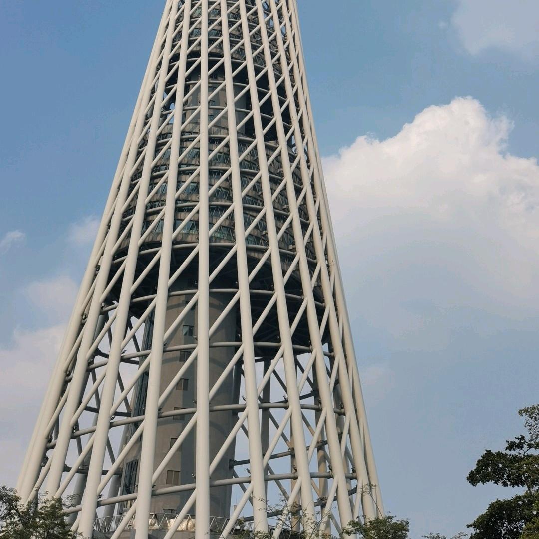 陈思