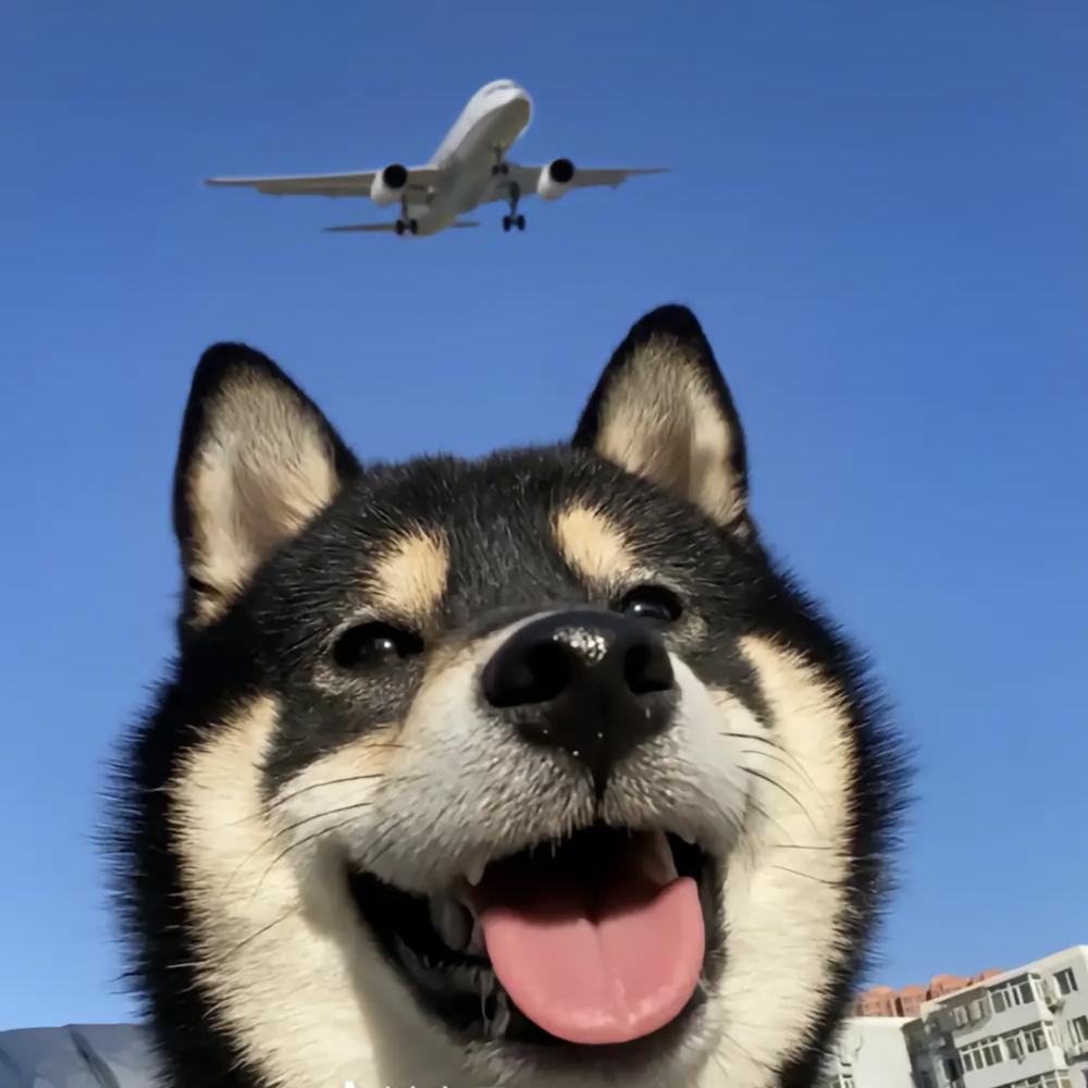 王佳乐