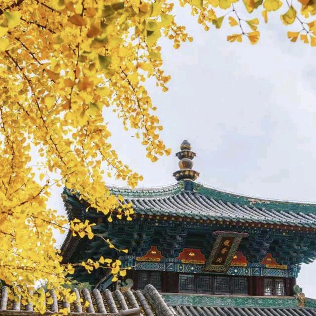 ༺ཉི།垫脚望北⁵²⁰༒ۣ¹³¹⁴།