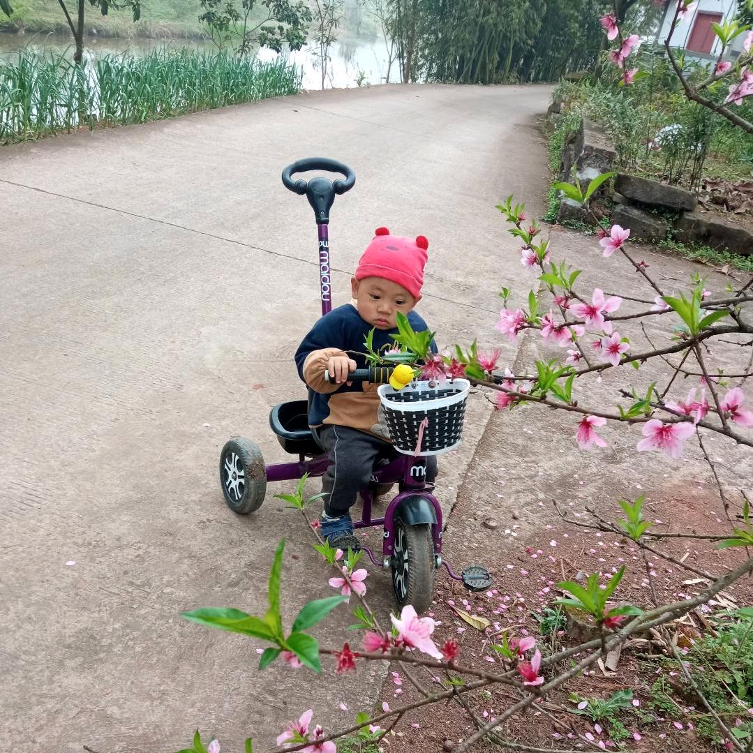 李大。姐