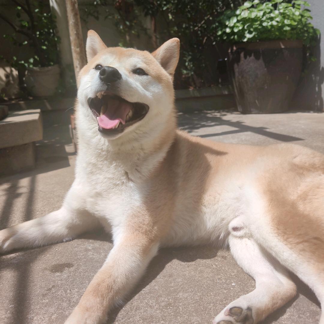 🌈大帅满满