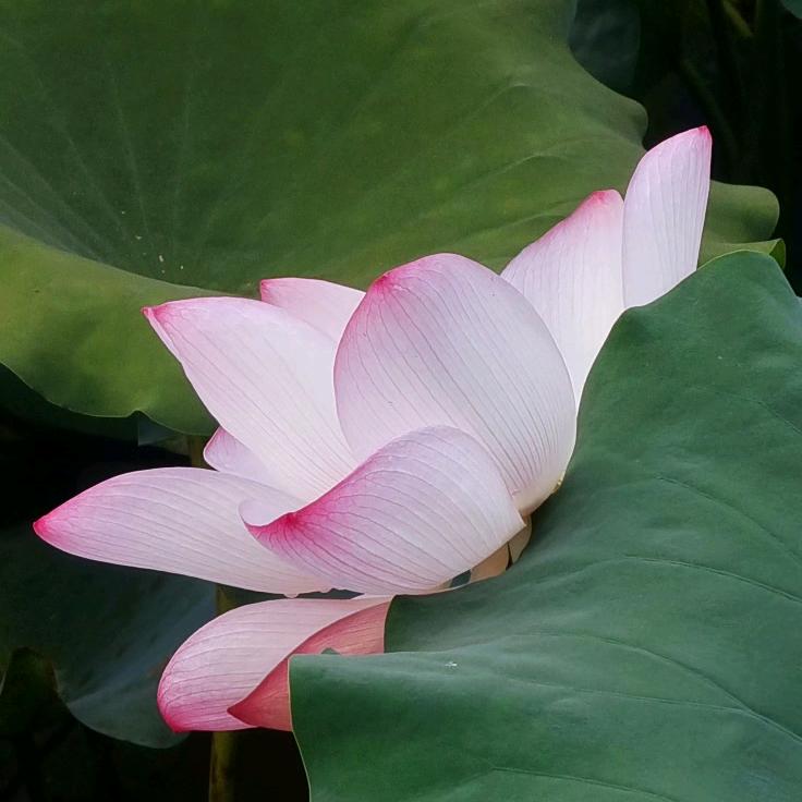 能多久I | 伴多久I
