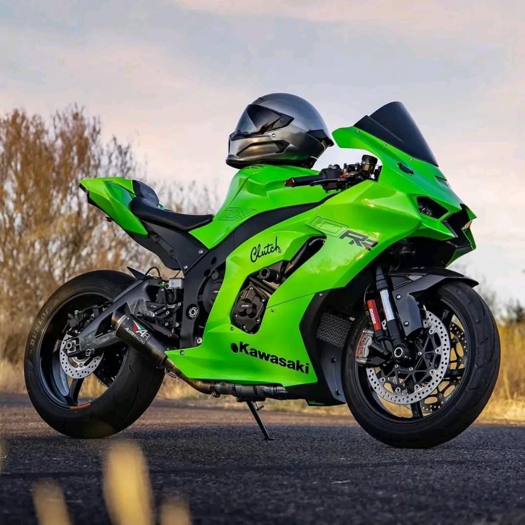 鲸落爱情有时候很残忍