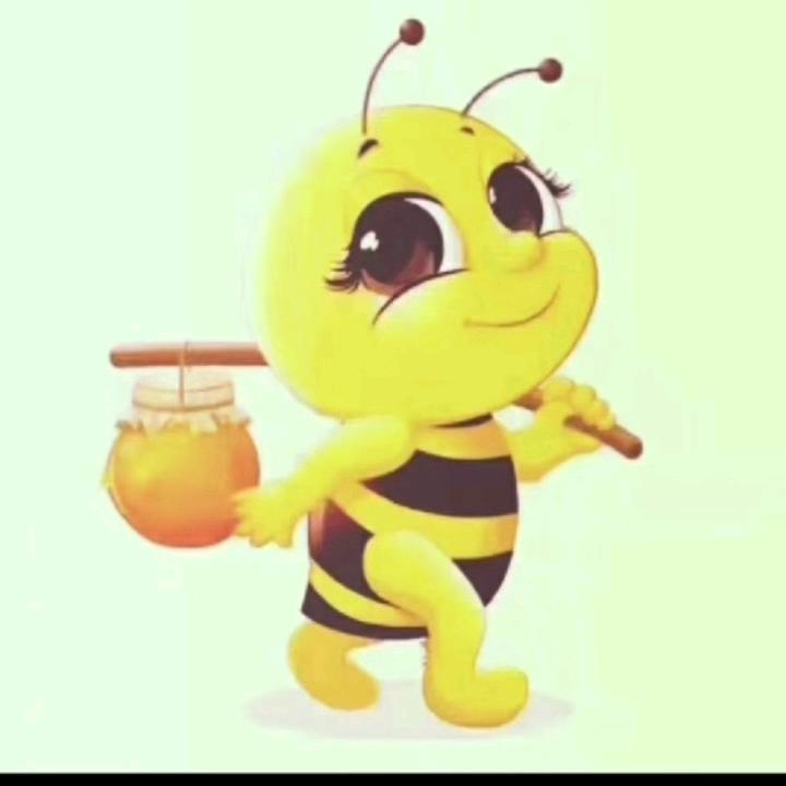 艾麦尔蜜蜂🐝