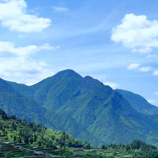 二毛洗车镀金保护，普洗变精洗