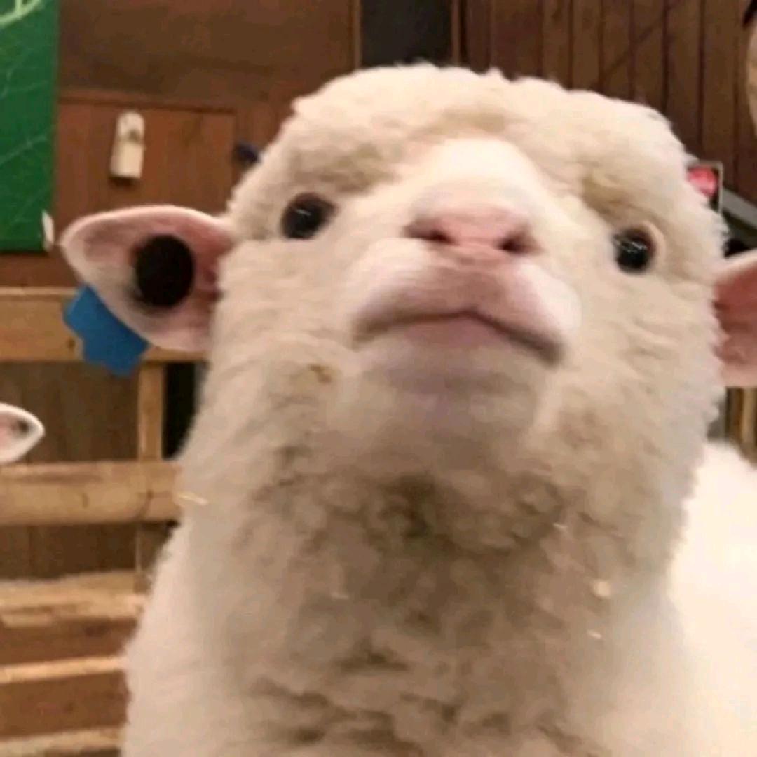 火火