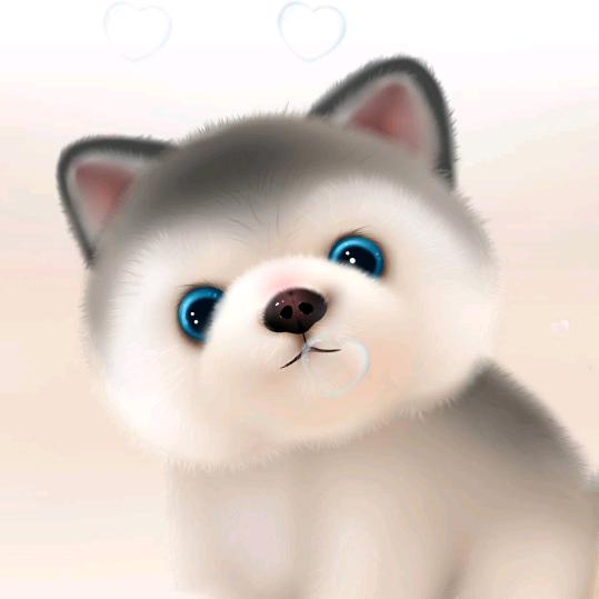 小王