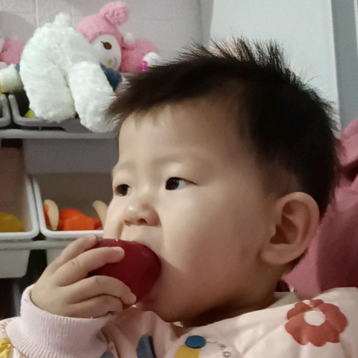 顺发