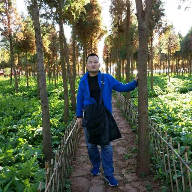 保定市中国旅行社