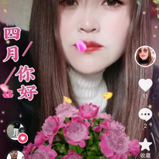 小雷单只蝴蝶