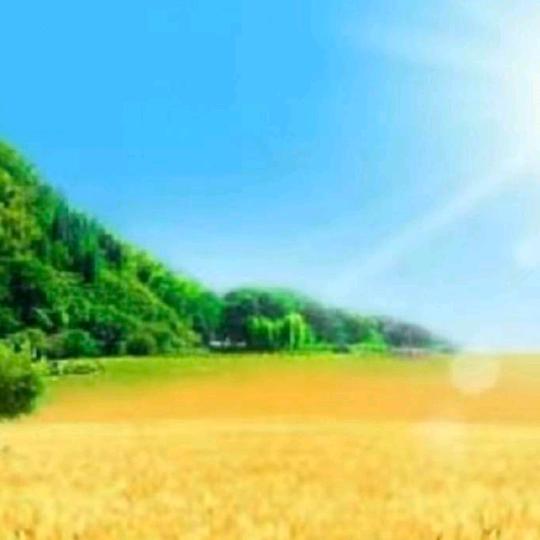 高兴健康是福141319