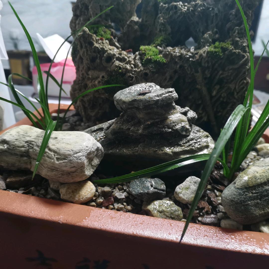 西安凯哥